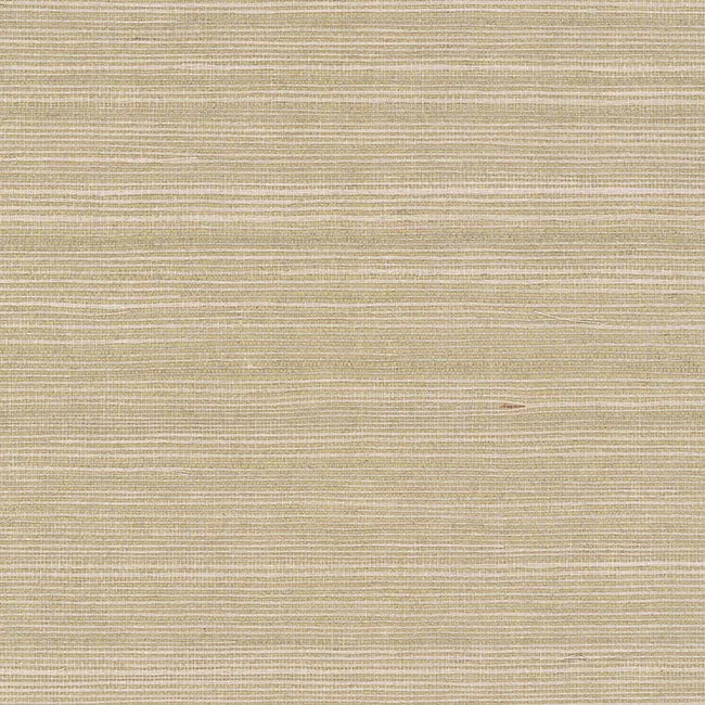 York Wallpaper GV0176NW Maguey Sisal