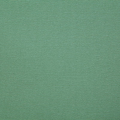 Pindler Fabric HUT007-GR13 Hutton Leaf