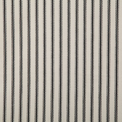 Pindler Fabric LAC110-BK01 Lachlan Domino