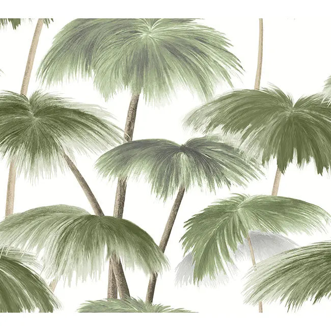 York Wallpaper LM5431 Plein Air Palms