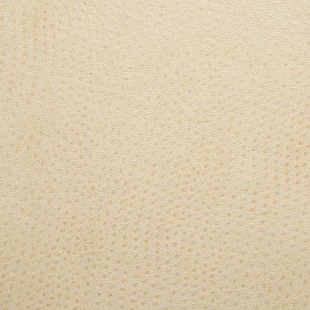 Pindler Fabric OUT002-BG11 Outback Fawn