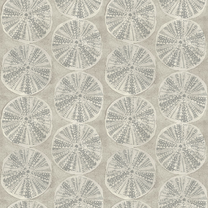 Picture of Sea Biscuit Grey Sand Dollar Wallpaper