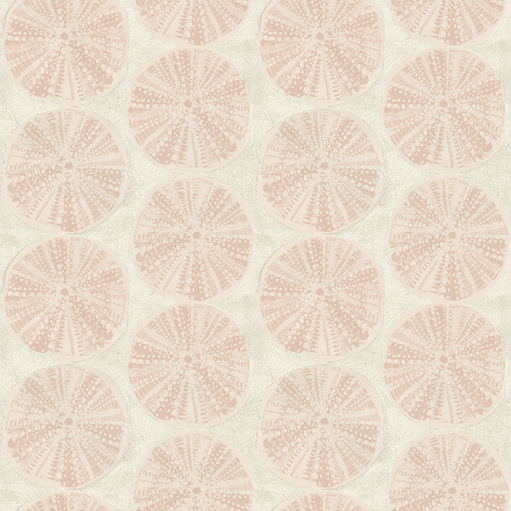 Picture of Sea Biscuit Peach Sand Dollar Wallpaper