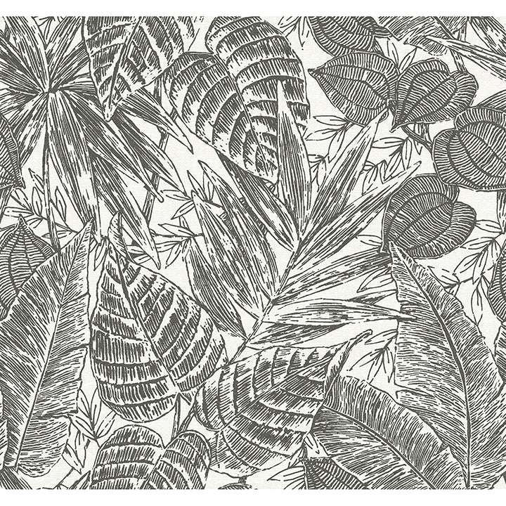 Picture of Brentwood Black Palm Leaves Wallpaper by Scott Living