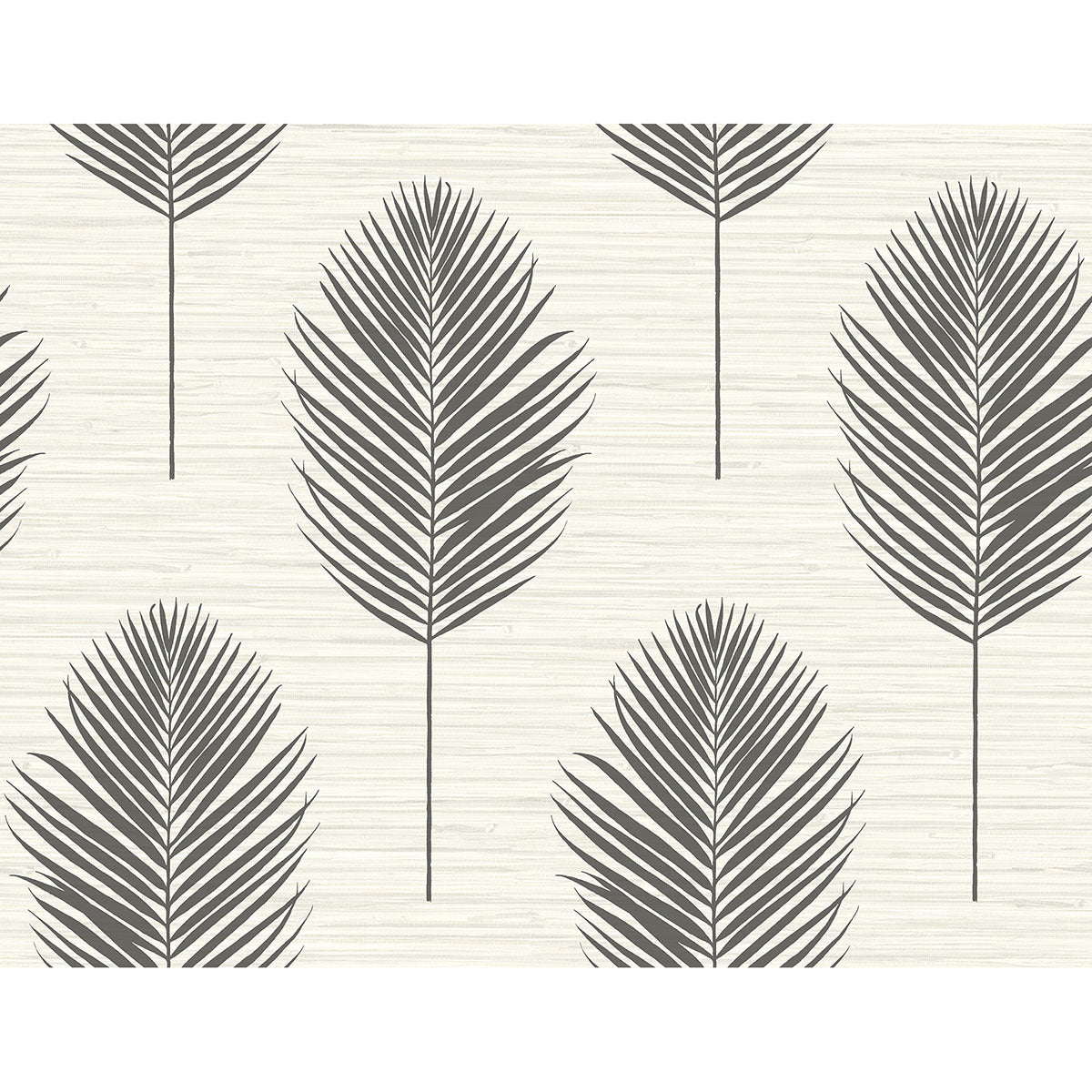 Picture of Bali Black Fern Wallpaper