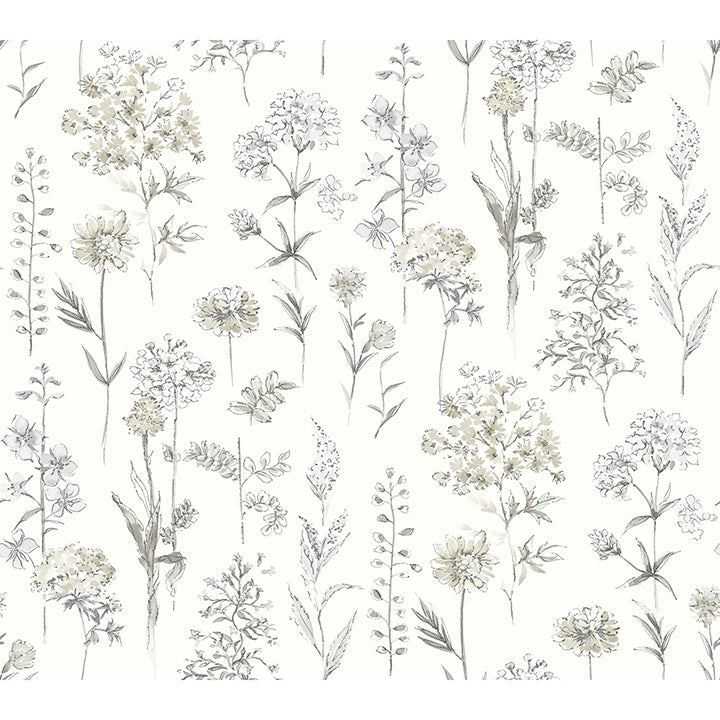 Picture of Bergamot Light Grey Wildflower Wallpaper