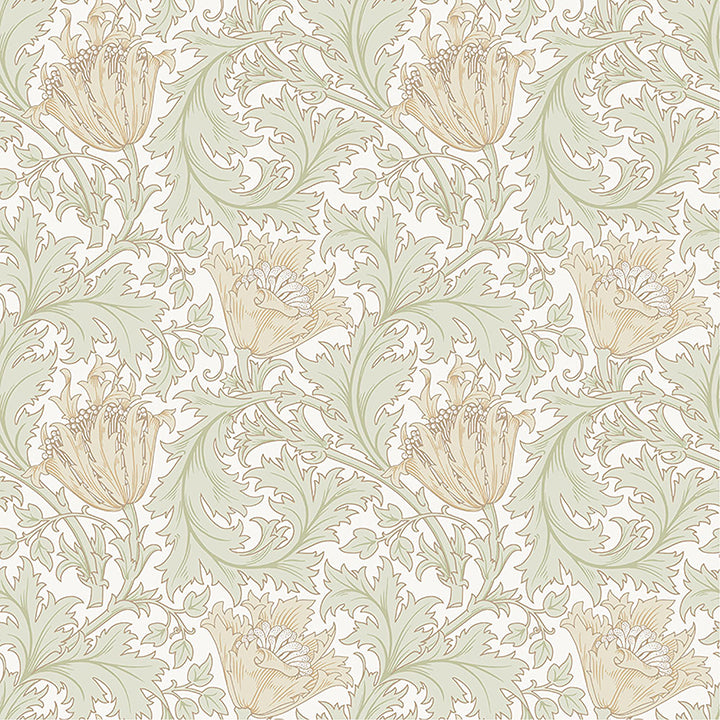 Picture of Anemone Light Green Floral Trail Wallpaper