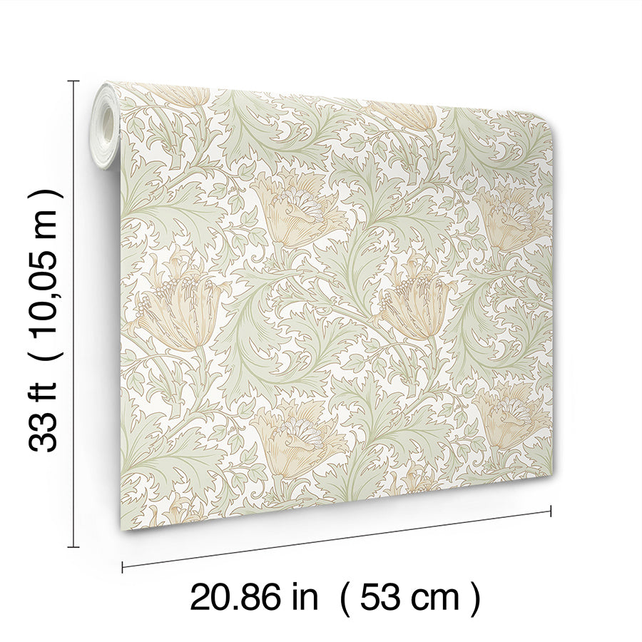 Anemone Light Green Floral Trail Wallpaper - Brewster Wallcovering