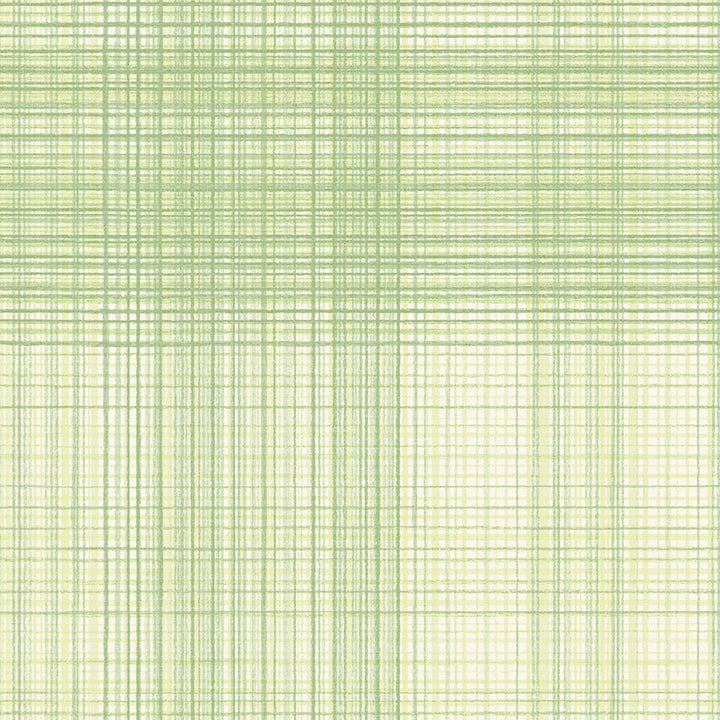 Picture of Madras Green Plaid Wallpaper