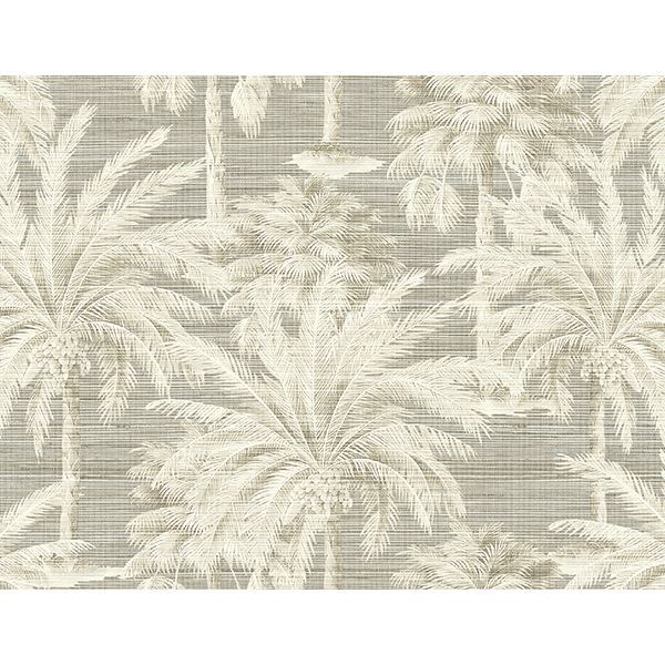 Picture of Dream Of Palm Trees Grey Texture Wallpaper