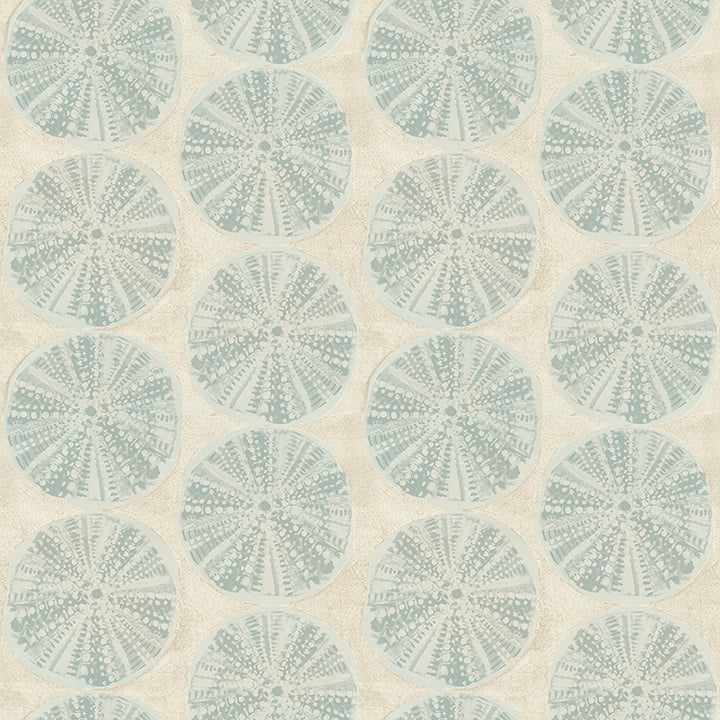 Picture of Sea Biscuit Aqua Sand Dollar Wallpaper