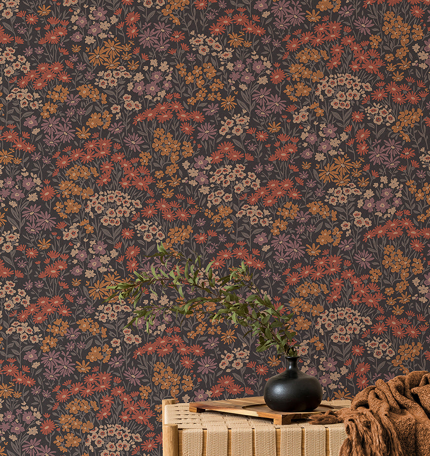 Ditsy Orange Daisies Wallpaper - Brewster Wallcovering