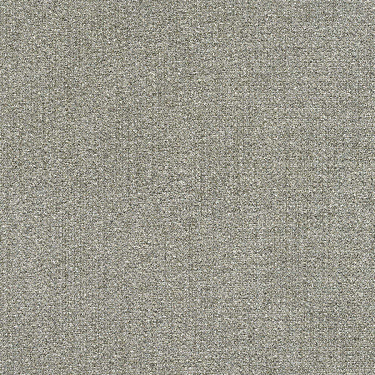 am1003911060-birds-foot-stone-kravet-couture