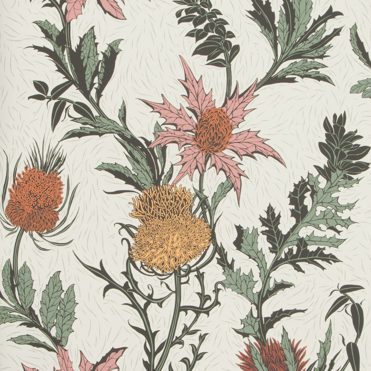 11514043cs0-thistle-a-pinkorangeparch-cole-son