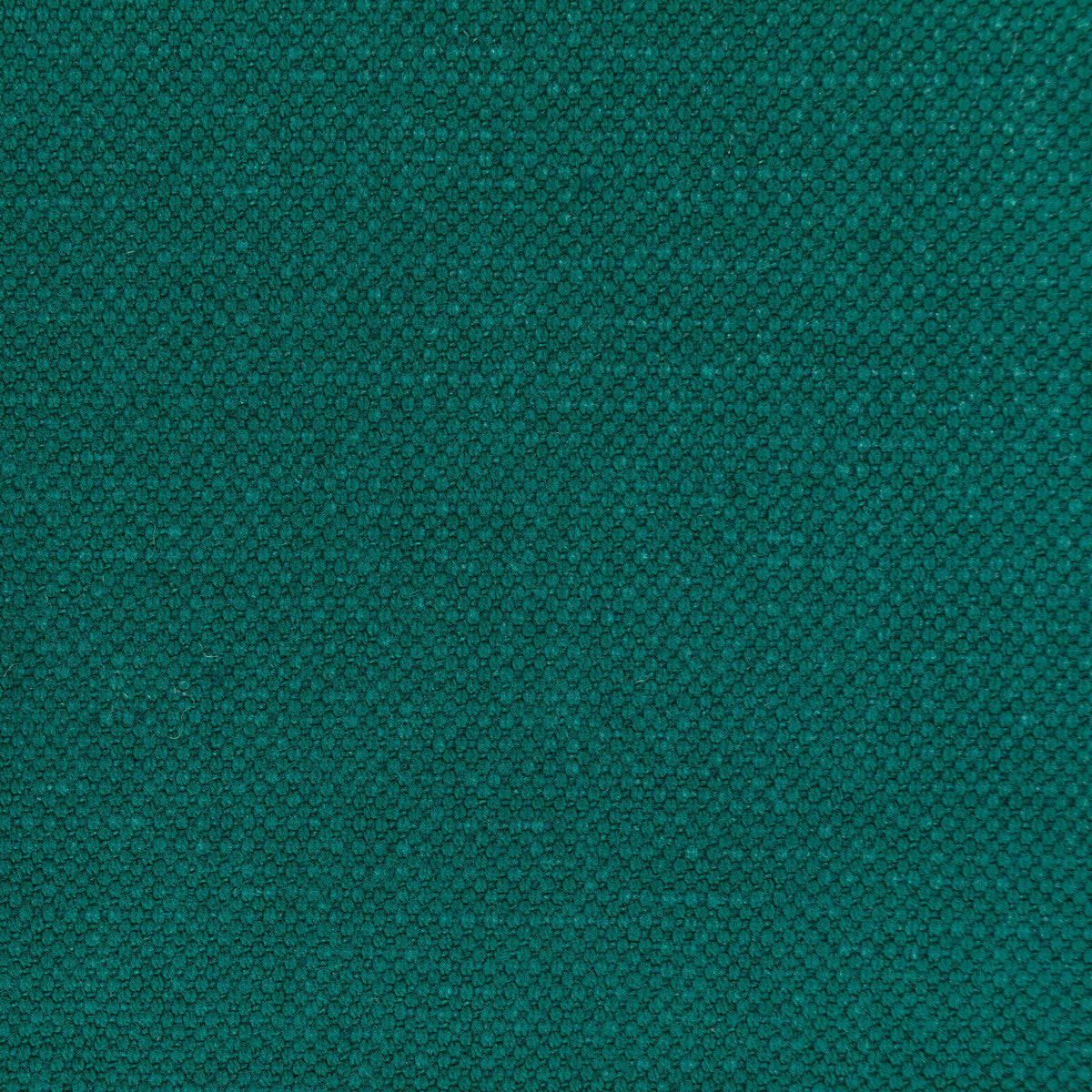 362823350-carson-verde-kravet-basics