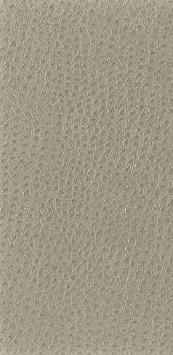 nuostrich6160-nuostrich-shiitake-kravet-basics