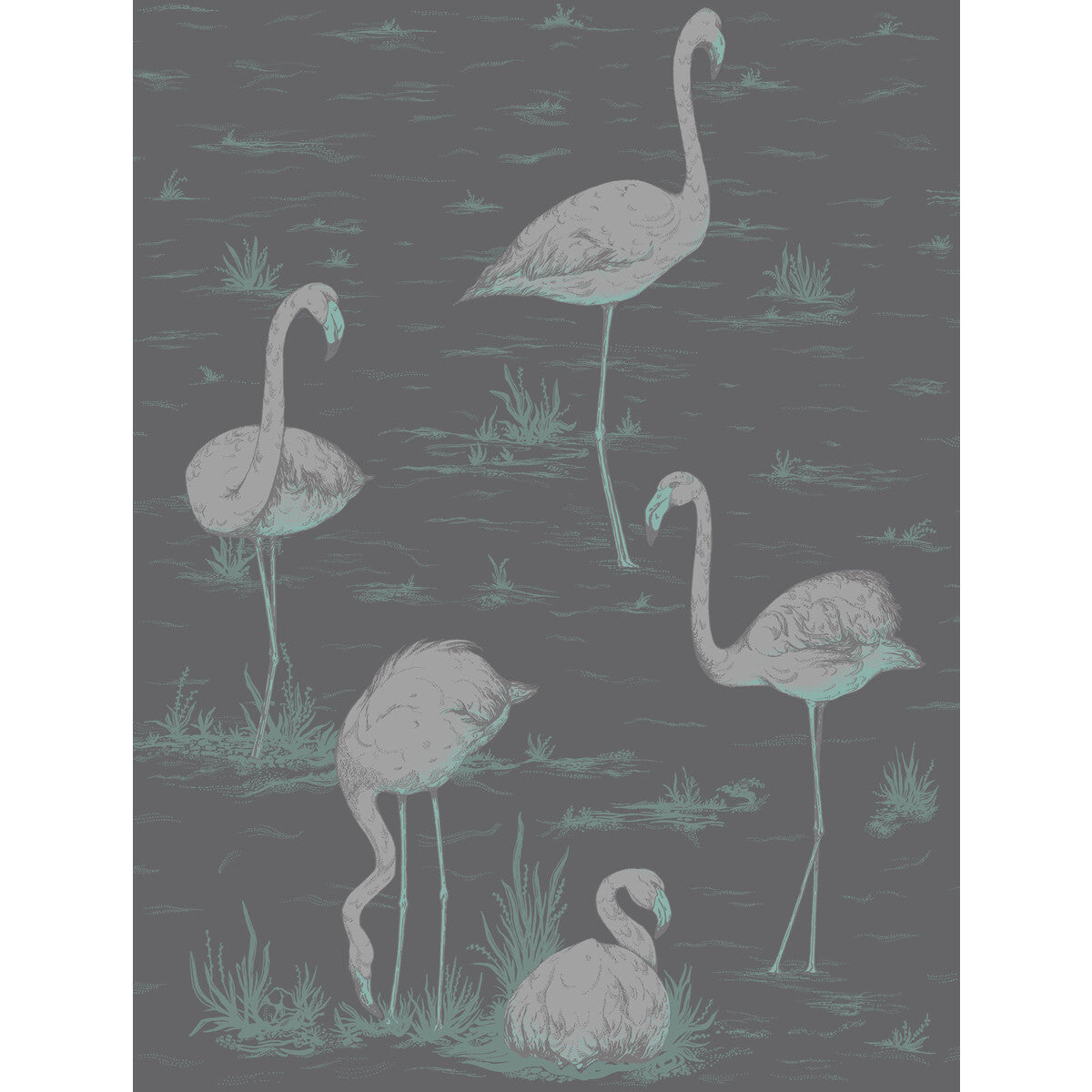 958048cs0-flamingos-tealslvrbk-cole-son