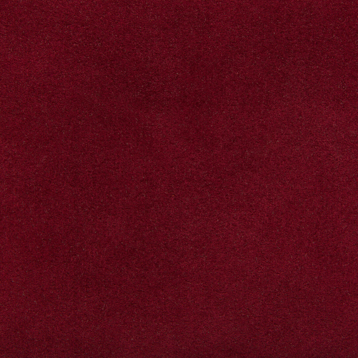 ultrasuede12400-ultrasuede-berry-kravet-design