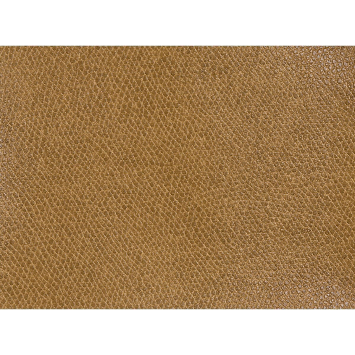 ophidian1240-ophidian-cognac-kravet-contract