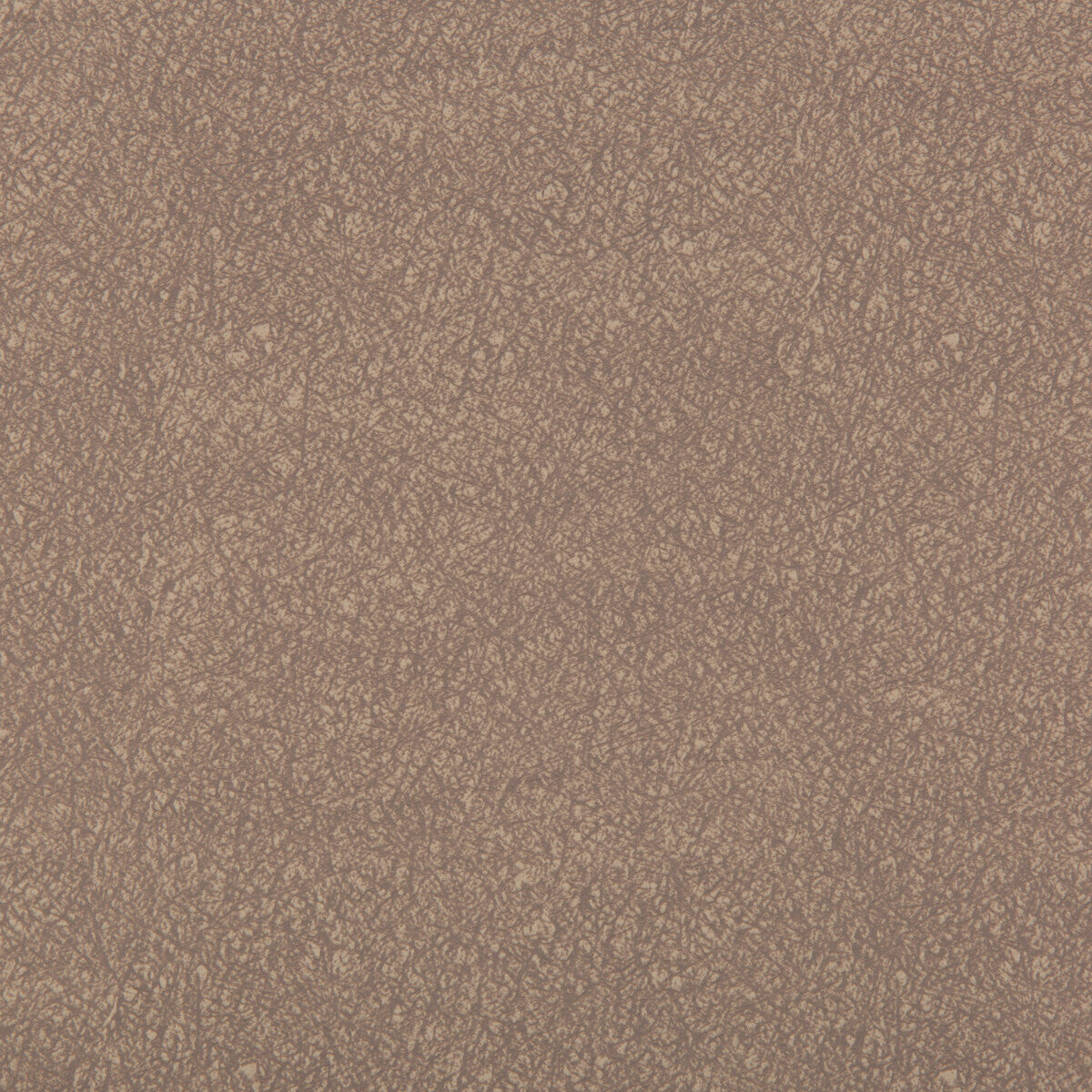 ames1060-ames-quartz-kravet-contract