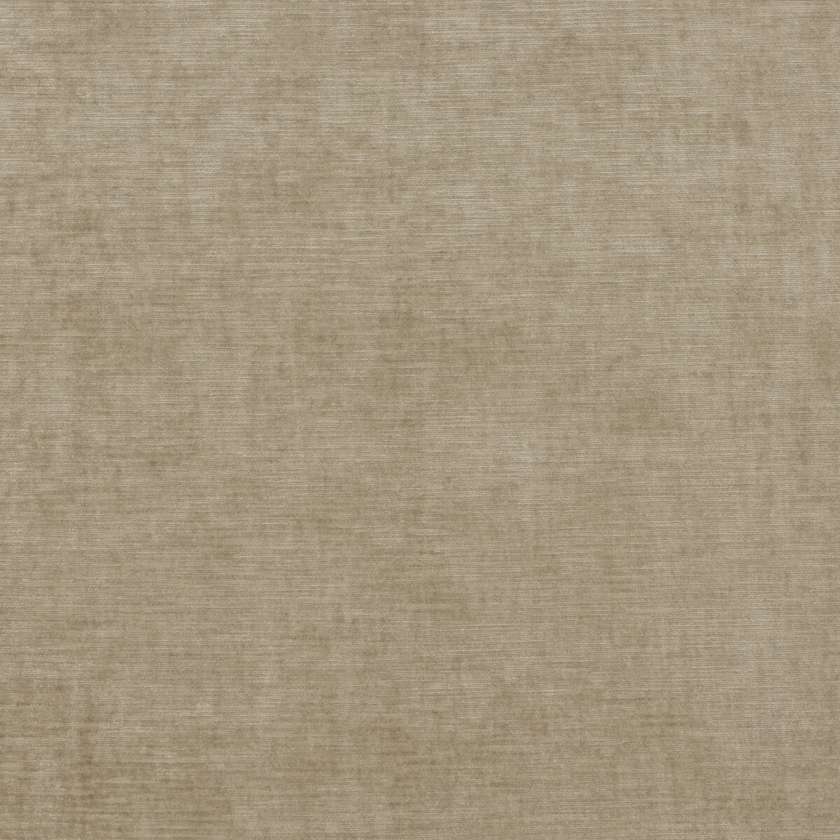 ed852922300-meridian-velvet-oatmeal-threads