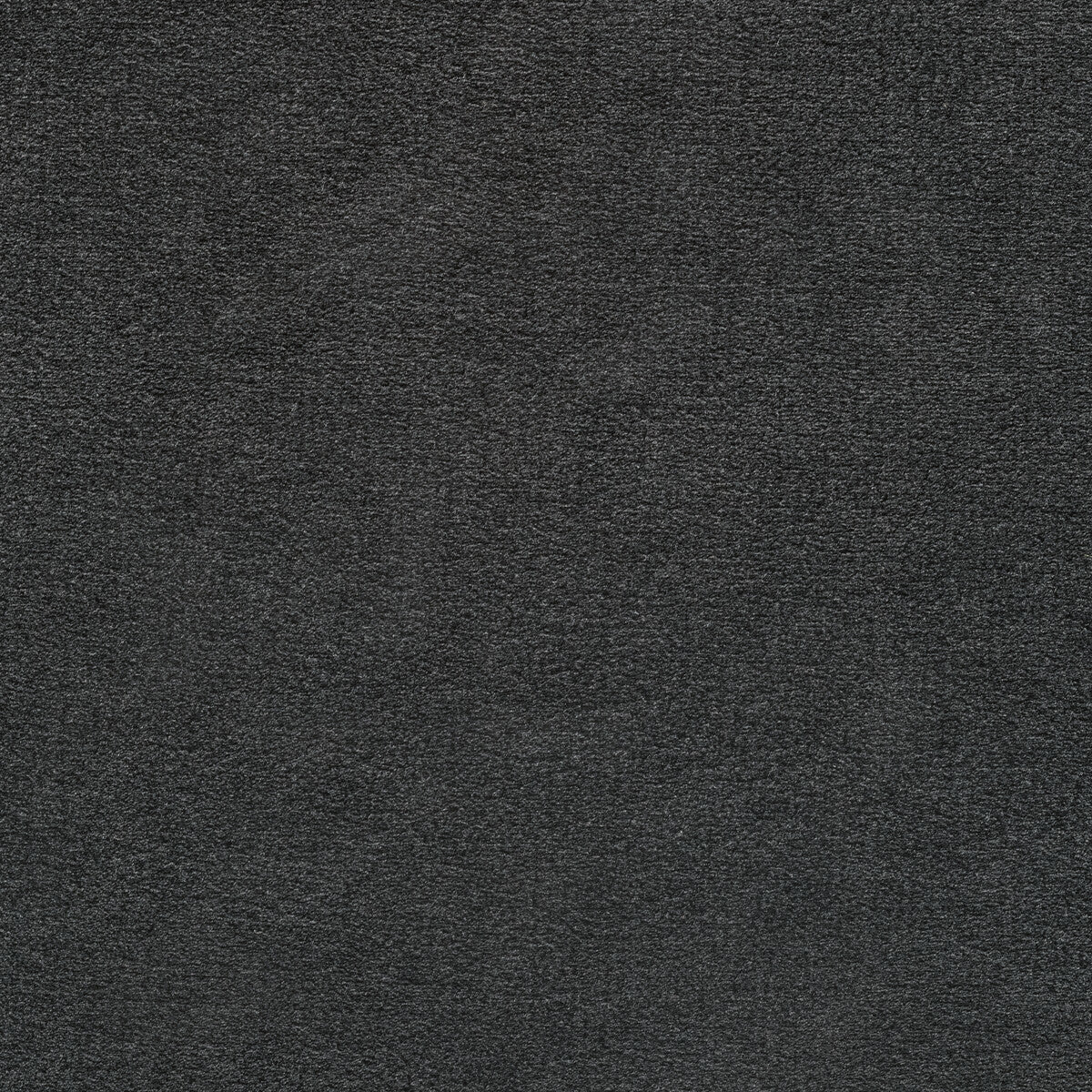 36061210-plushilla-charcoal-kravet-basics