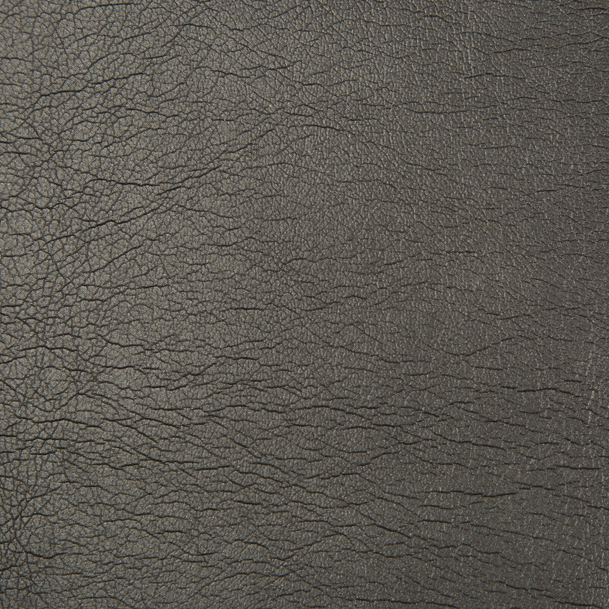 maximo80-maximo-obsidian-kravet-contract