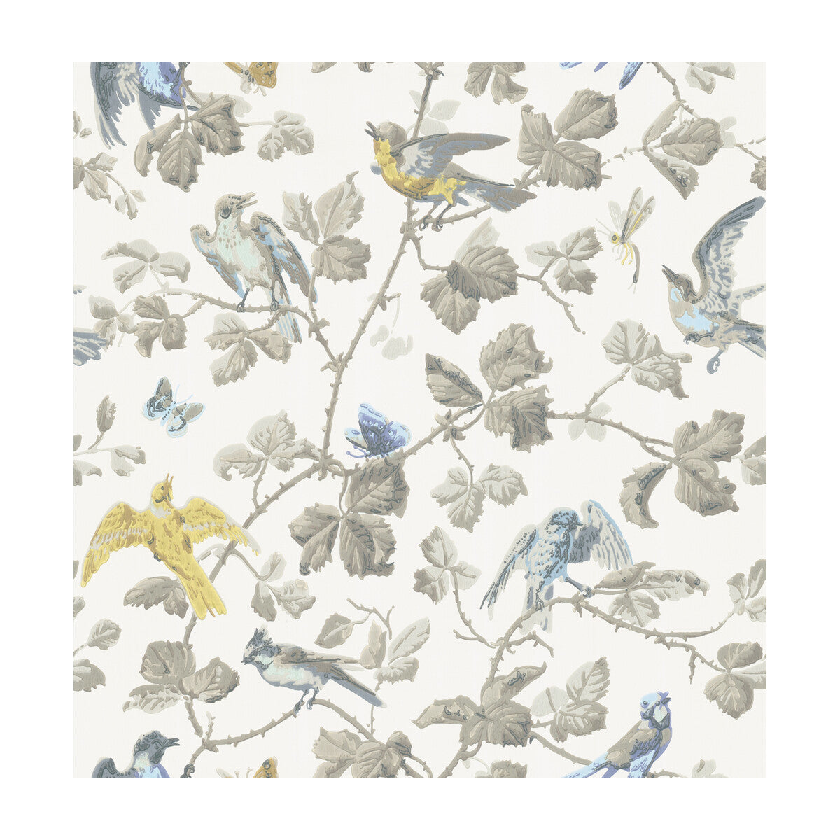 1002008cs0-winter-birds-yellow-grey-cole-son