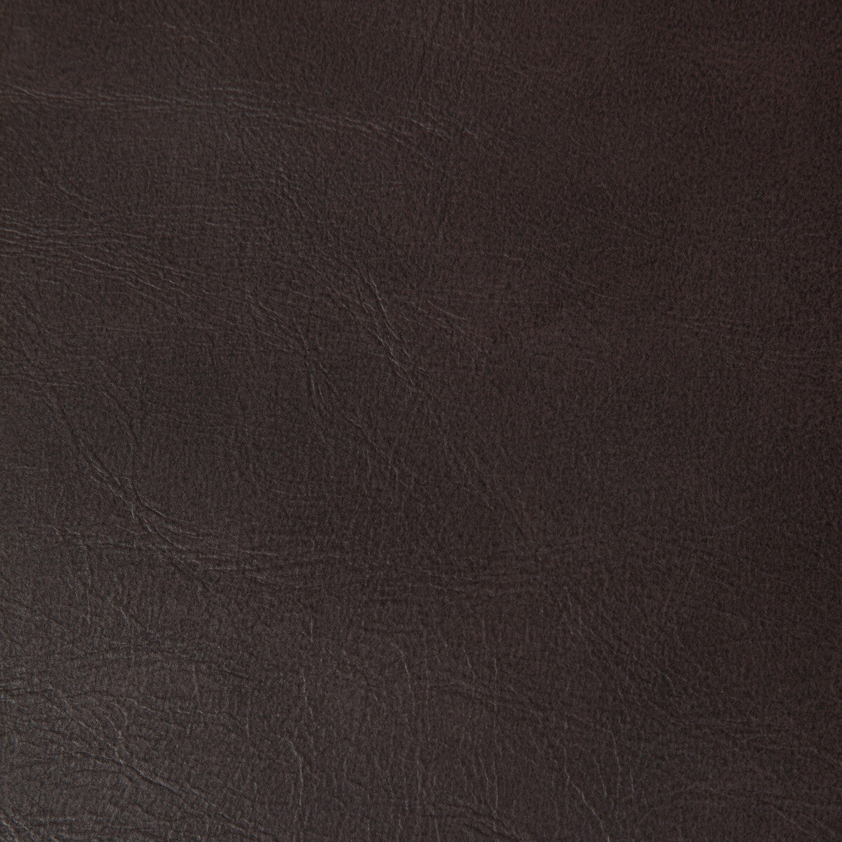 rambler60-rambler-cacao-kravet-contract