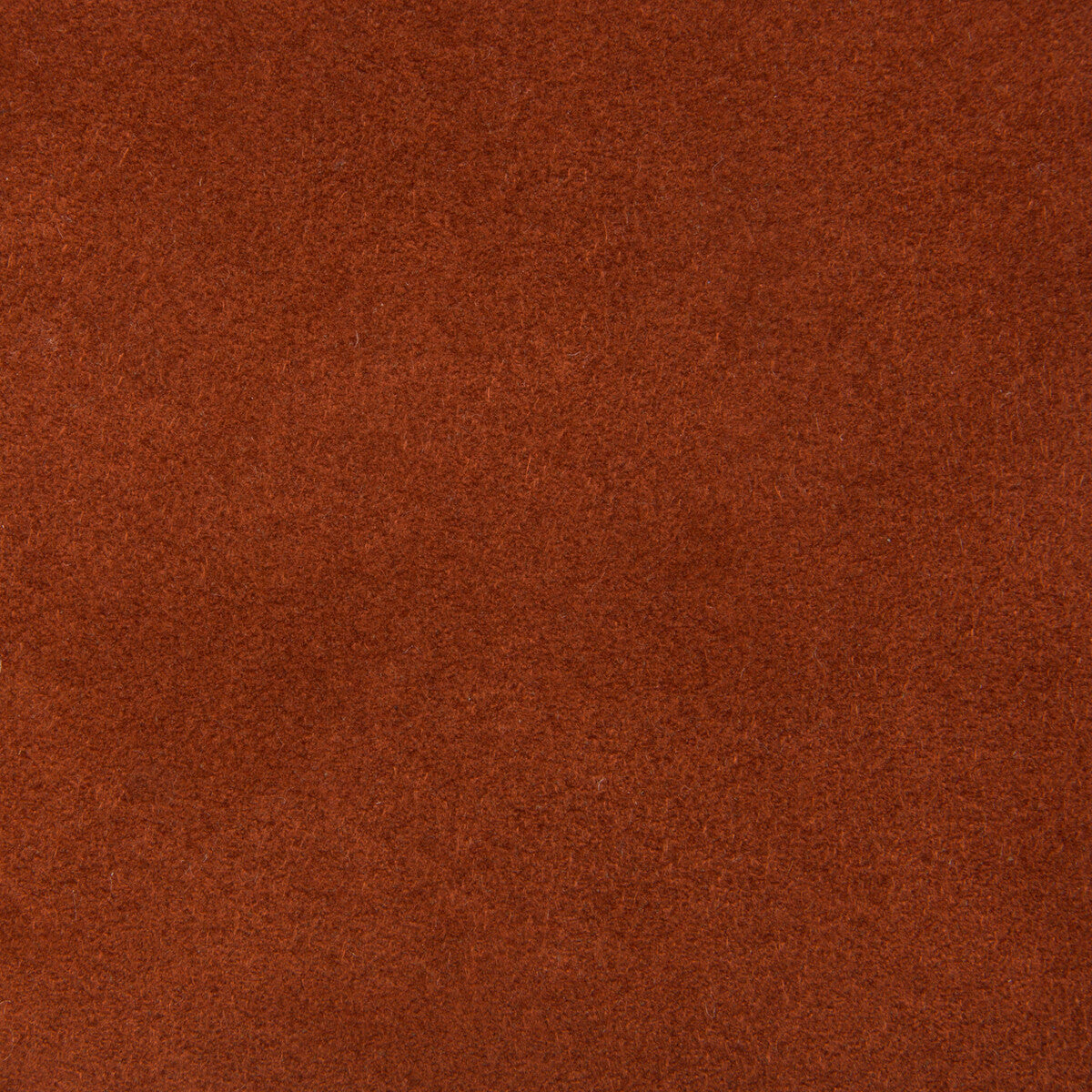 ultrasuede240-ultrasuede-spice-kravet-design