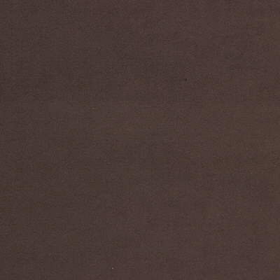 ultrasuede6610-ultrasuede-toffee-kravet-design