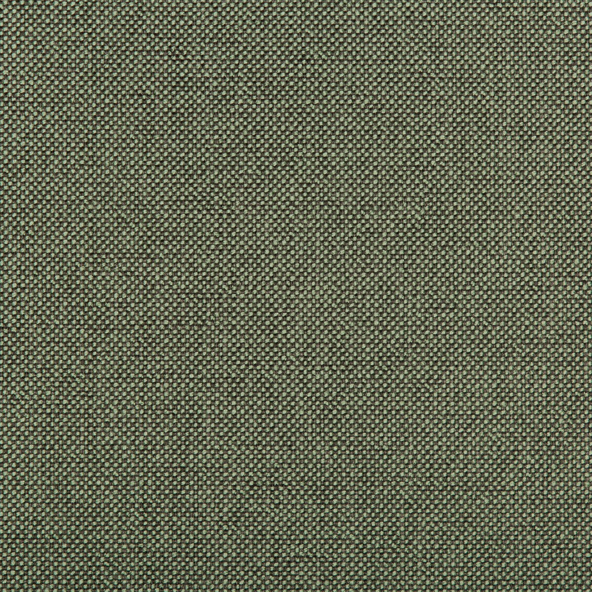 357443210-williams-pistachio-kravet-contract