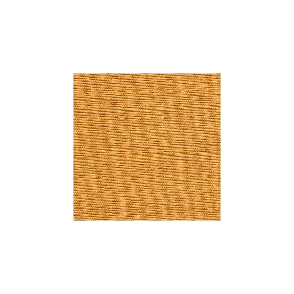 wss4542wt0-sisal-honey-winfield-thybony