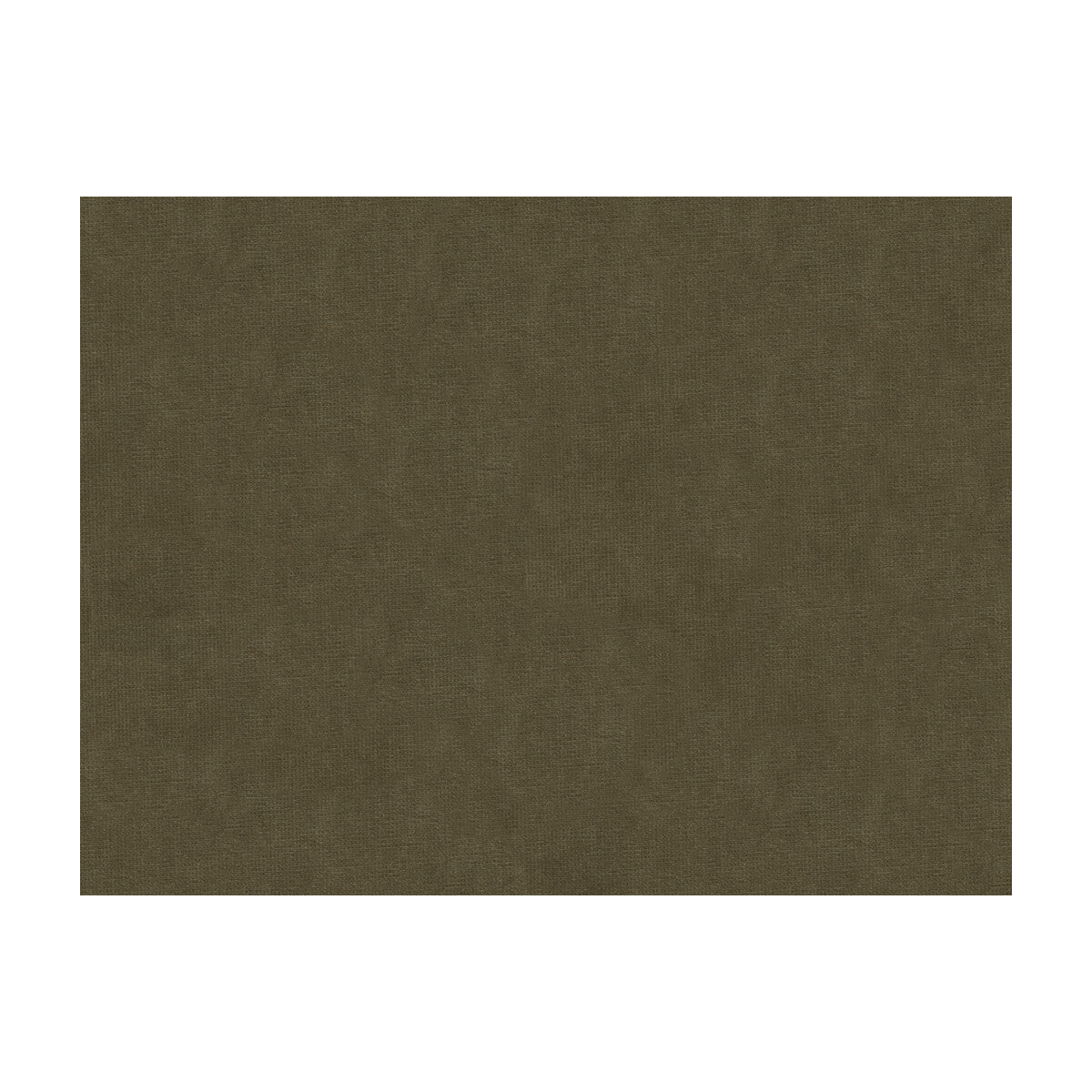 80131506110-charmant-velvet-ash-brunschwig-fils