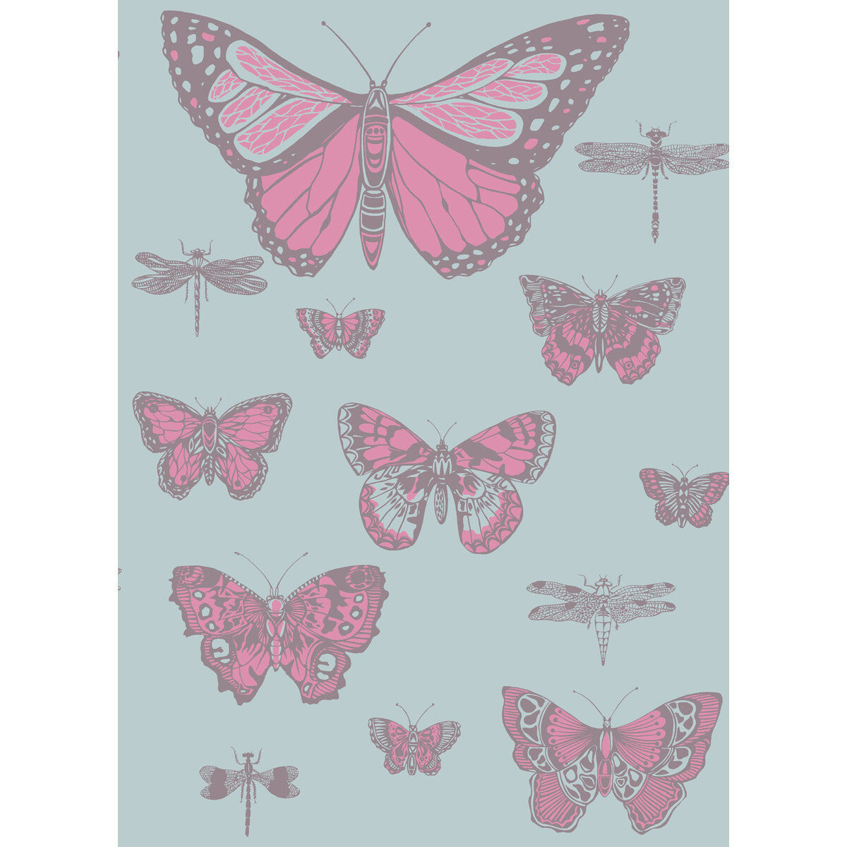 10315062cs0-butterflies-dragonflies-pink-on-blue-cole-son