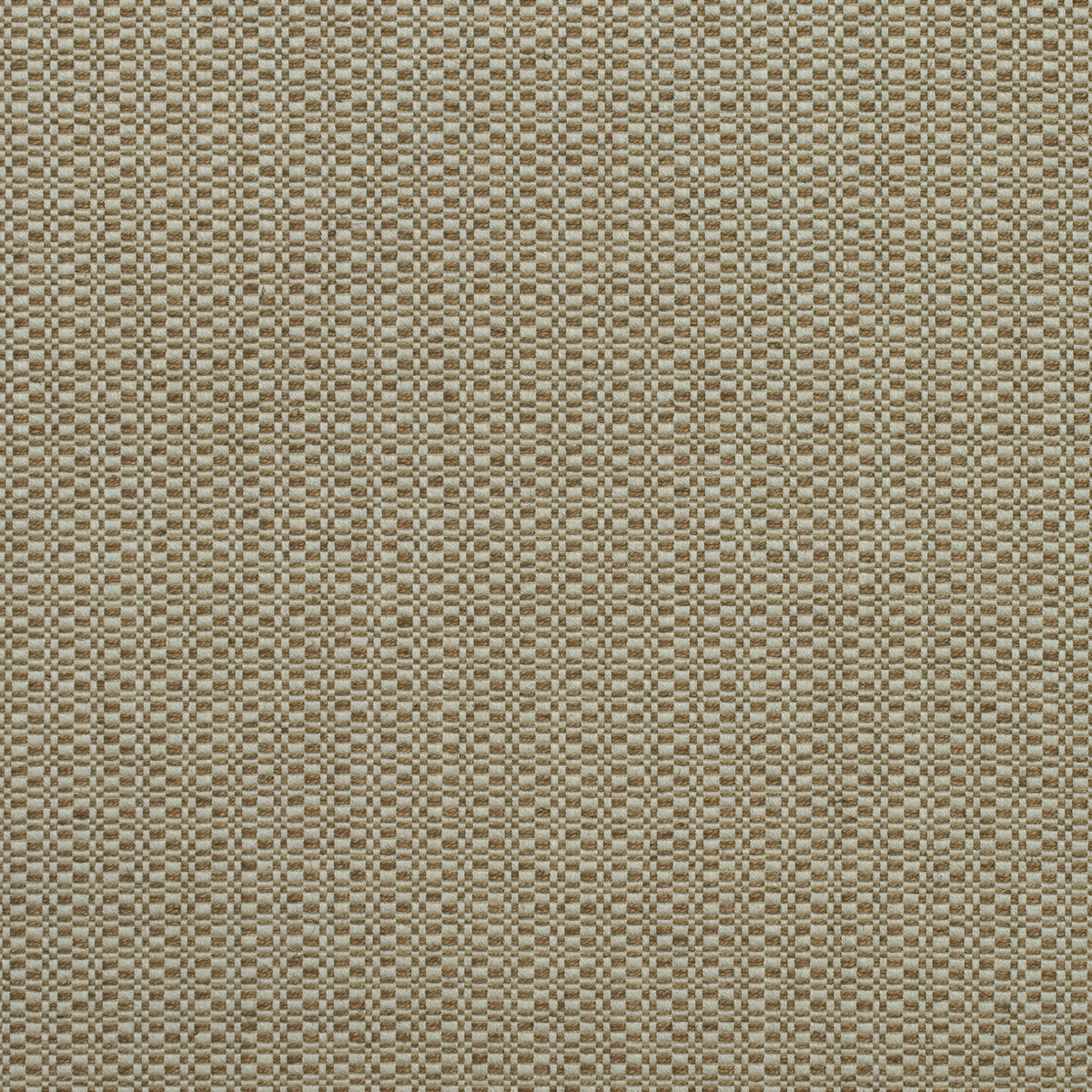 am1003906240-birch-autumn-kravet-couture