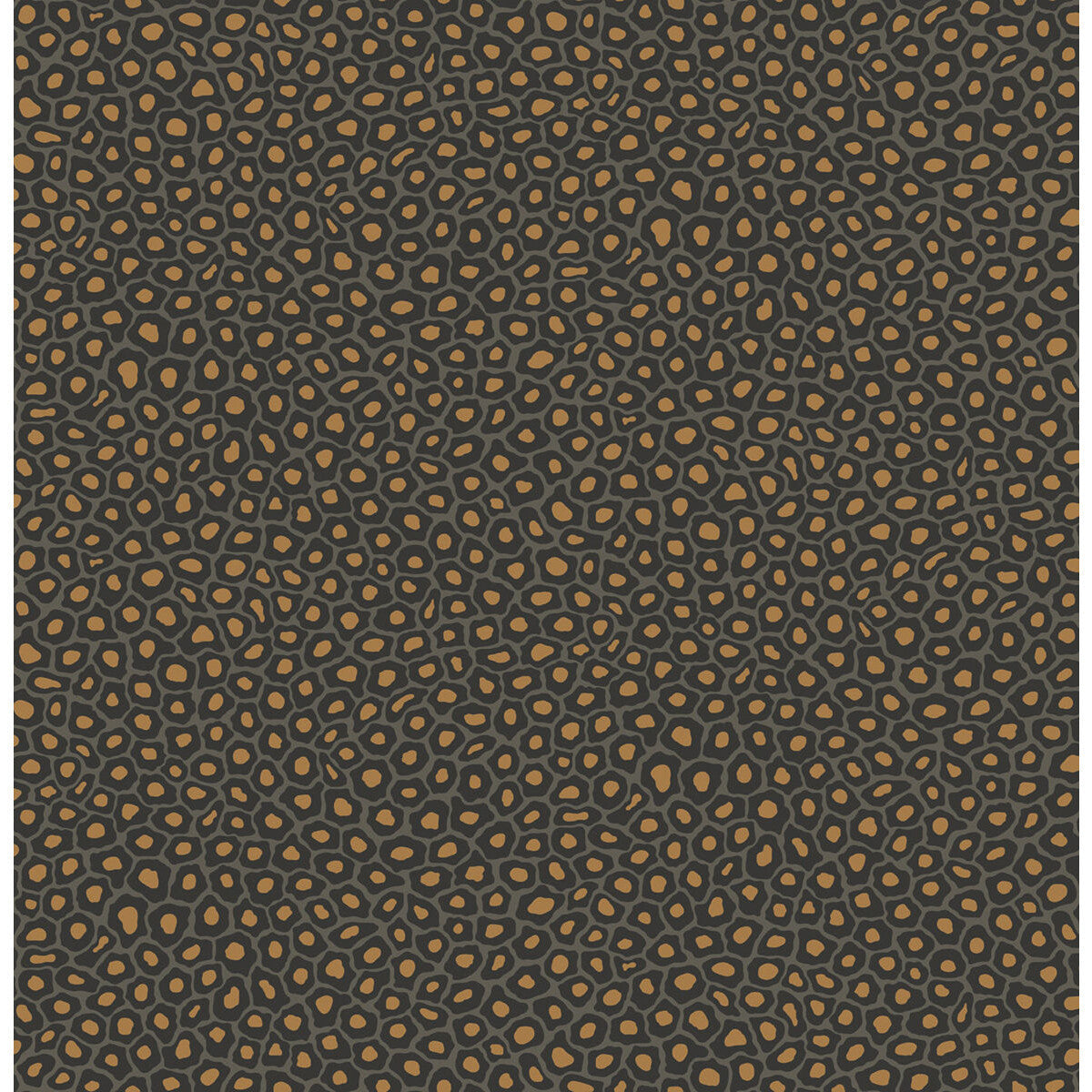 1096032cs0-senzo-spot-charcoal-cole-son