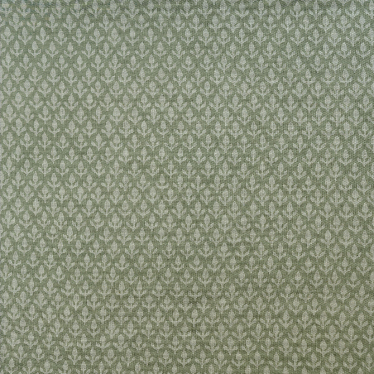 am1003791230-bud-fennel-kravet-couture