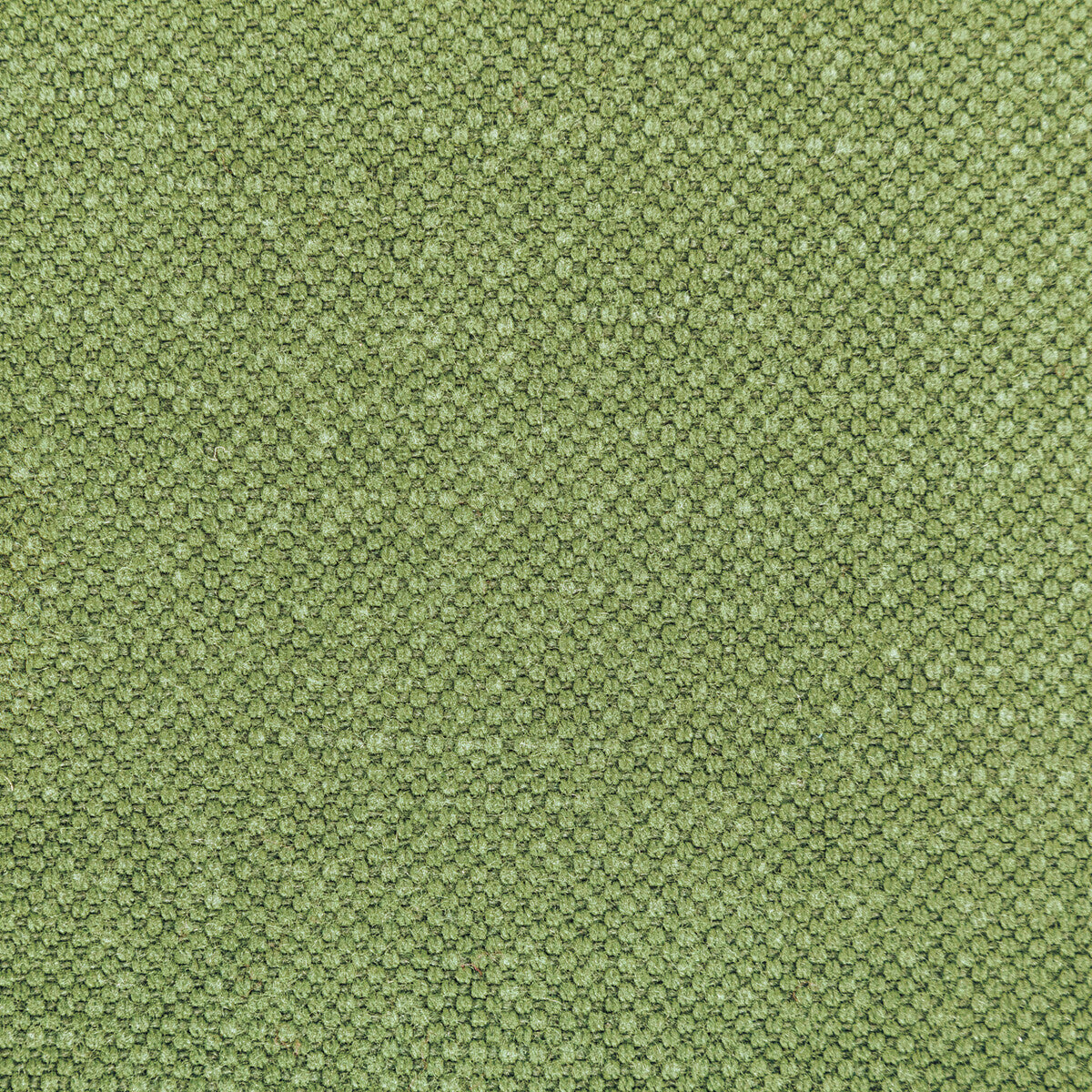 362823140-carson-frog-kravet-basics