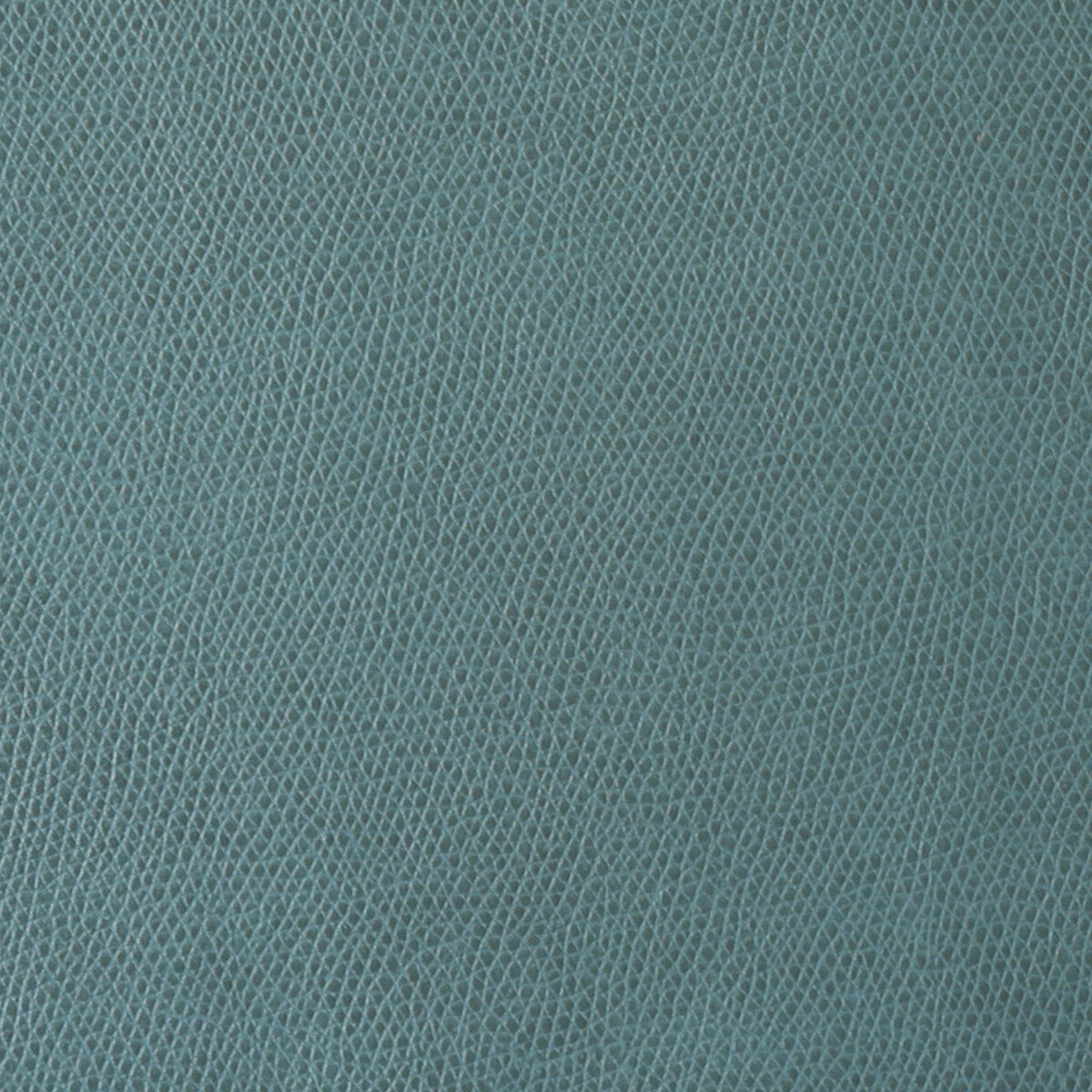 ophidian350-ophidian-patina-kravet-contract