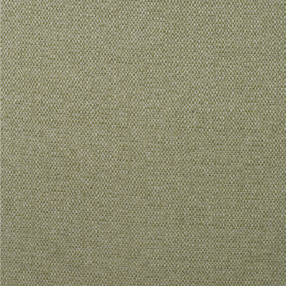 am1004383160-jetty-reed-kravet-couture