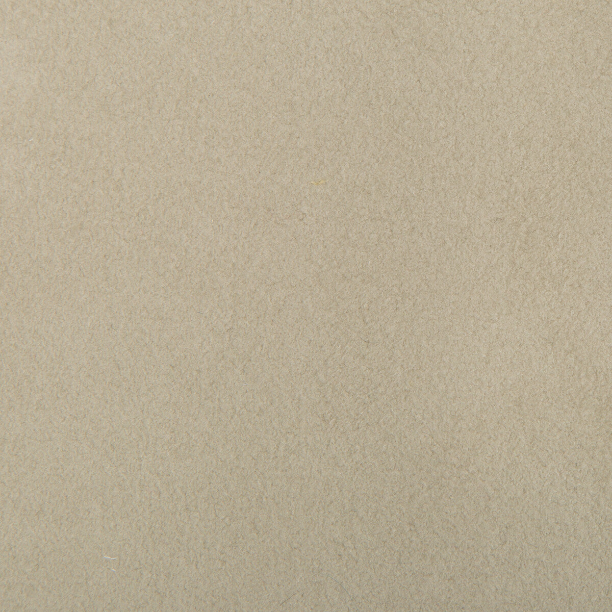 ultrasuede1110-ultrasuede-chalk-kravet-design