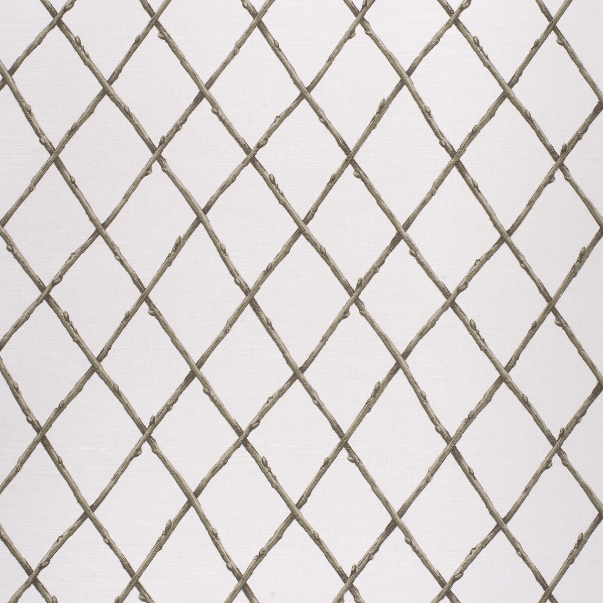 20201161300-bare-twig-trellis-green-lee-jofa