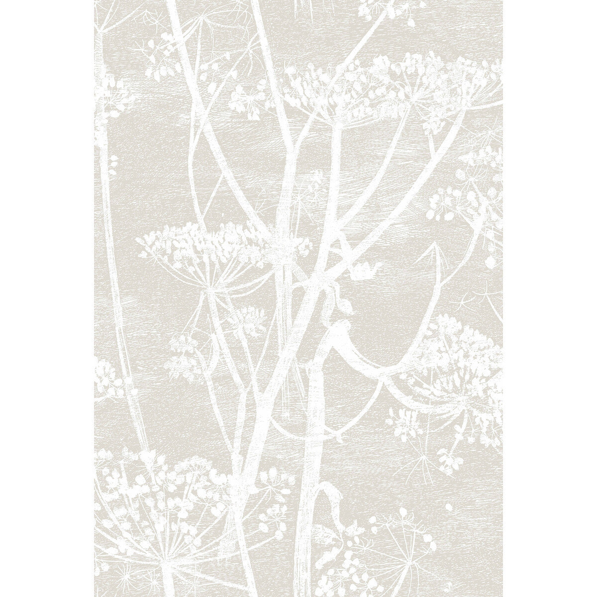 959051cs0-cow-parsley-linenwhite-cole-son