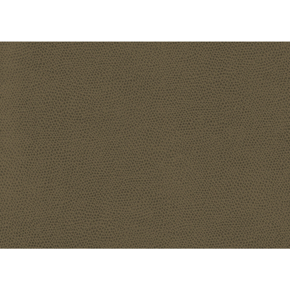 ophidian6060-ophidian-bark-kravet-contract