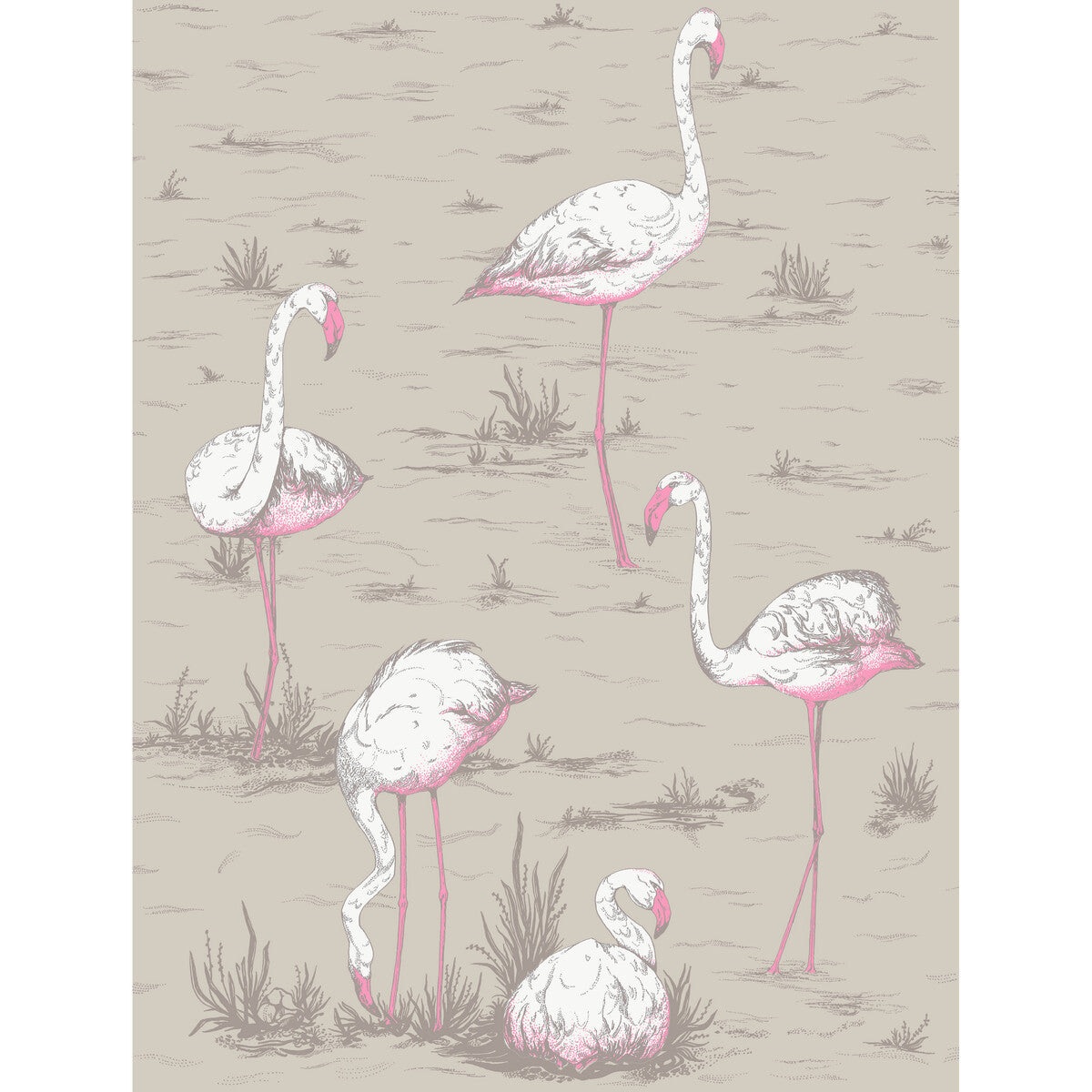 f1113011lcs0-flamingos-whtfuch-on-tup-cole-son