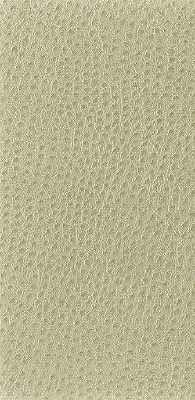 nuostrich1160-kravet-basics-nuostrich-116