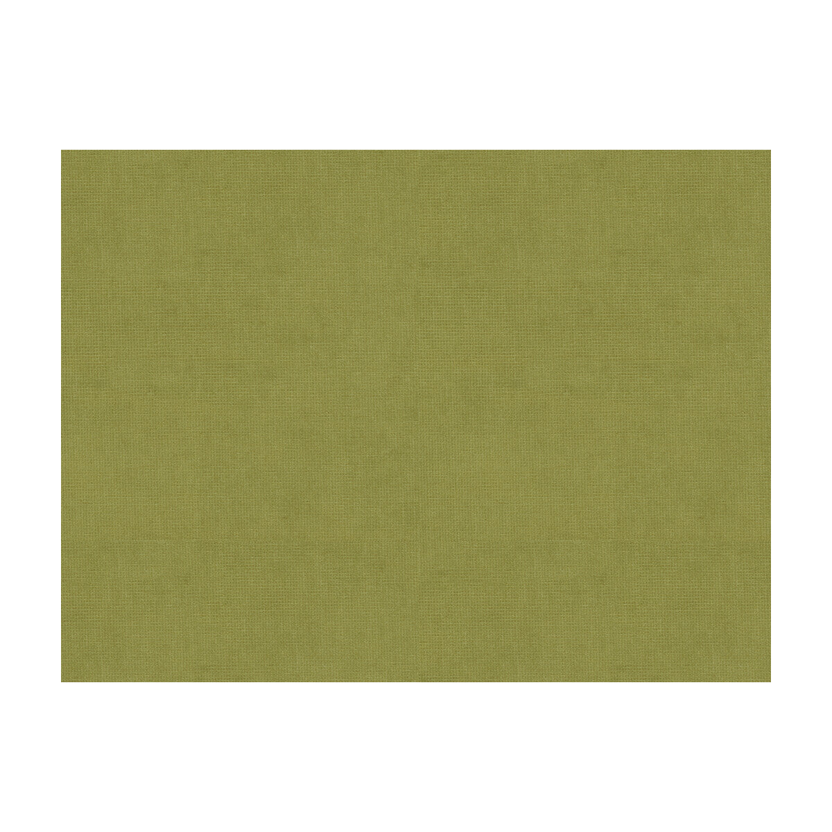 80131503030-charmant-velvet-fern-brunschwig-fils