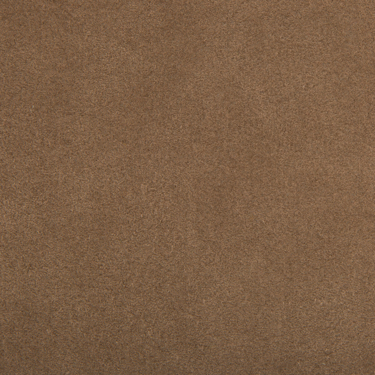 ultrasuede60-ultrasuede-mole-skin-kravet-design