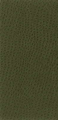 nuostrich300-kravet-basics-nuostrich-30